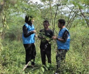 Pengembangan Biomassa PLN di Tasikmalaya: Dikelola Masyarakat, Didukung Pemerintah