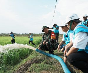 Dukung Pengembangan Pertanian di Merauke, PLN Listriki Area Sawah Garapan Kementan-TNI