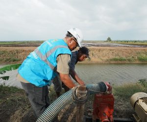 Dukung Tranformasi Pertanian Modern, Electrifying Agriculture PLN Raih 53.539 Pelanggan Baru di Tahun 2024