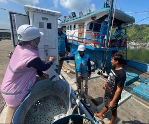 Dorong Pertumbuhan Sektor Perikanan dan Kelautan, PLN Sukses Hadirkan Listrik 47,32 GWh Sepanjang 2024