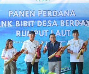 Dari Pesisir Nusa Lembongan, PLN Bangun Kemandirian Ekonomi Melalui Rumput Laut