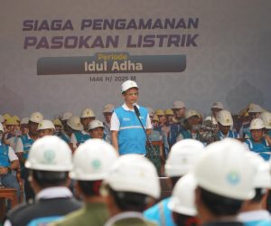 Jelang Iduladha 1446 H, PLN Siaga Jaga Listrik Andal di Seluruh Tanah Air