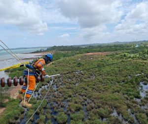 Wujud Kontribusi ke Negara, PLN Setor Rp65,59 Triliun Lewat Dividen, Pajak, dan PNBP