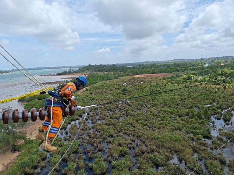 Wujud Kontribusi ke Negara, PLN Setor Rp65,59 Triliun Lewat Dividen, Pajak, dan PNBP