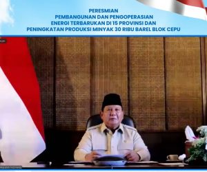 47 PLTS Diresmikan Presiden, 5.383 Rumah Tangga di Wilayah 3T Kini Nikmati Listrik Bersih