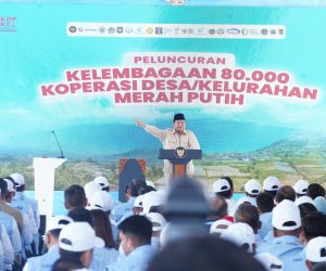 PLN Dukung Penuh Integrasi Layanan Kelistrikan ke Koperasi Desa Merah Putih