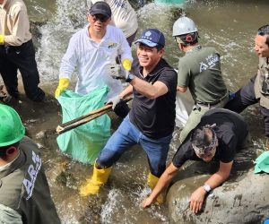 PLN dan KLH Gelar Aksi Bersih DAS Ciliwung, Angkut 176 Kg Sampah dan Tanam 2.500 Pohon