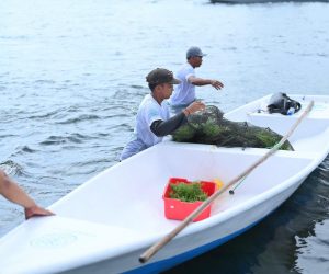 Sepanjang 2025, TJSL PLN Peduli Jangkau Lebih dari 700 Ribu Penerima Manfaat di Seluruh Indonesia